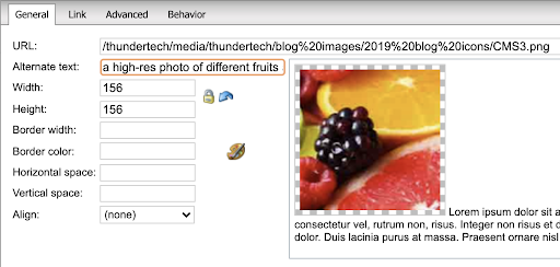 A screenshot of the CMS fields where alt text should be placed to describe the photo