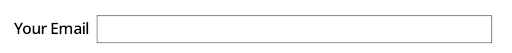 A more accessible email form field with "Your Email" text outside of the form field box