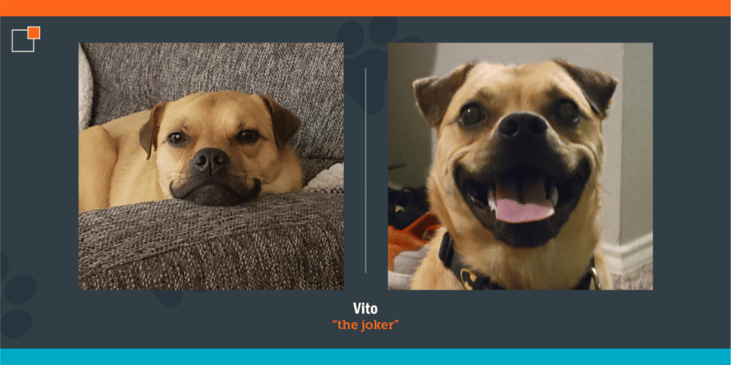 Vito