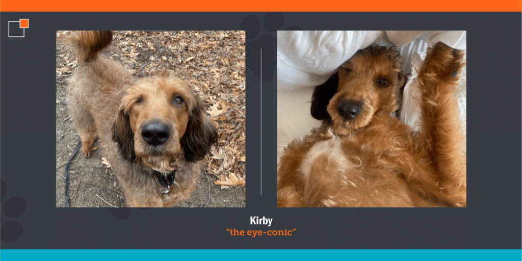 Kirby the Dog