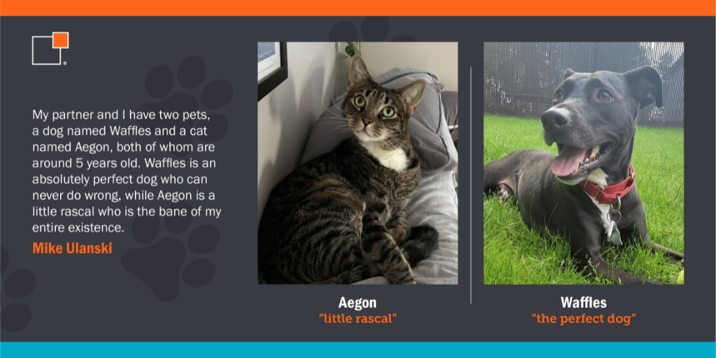 Waffles and Aegon