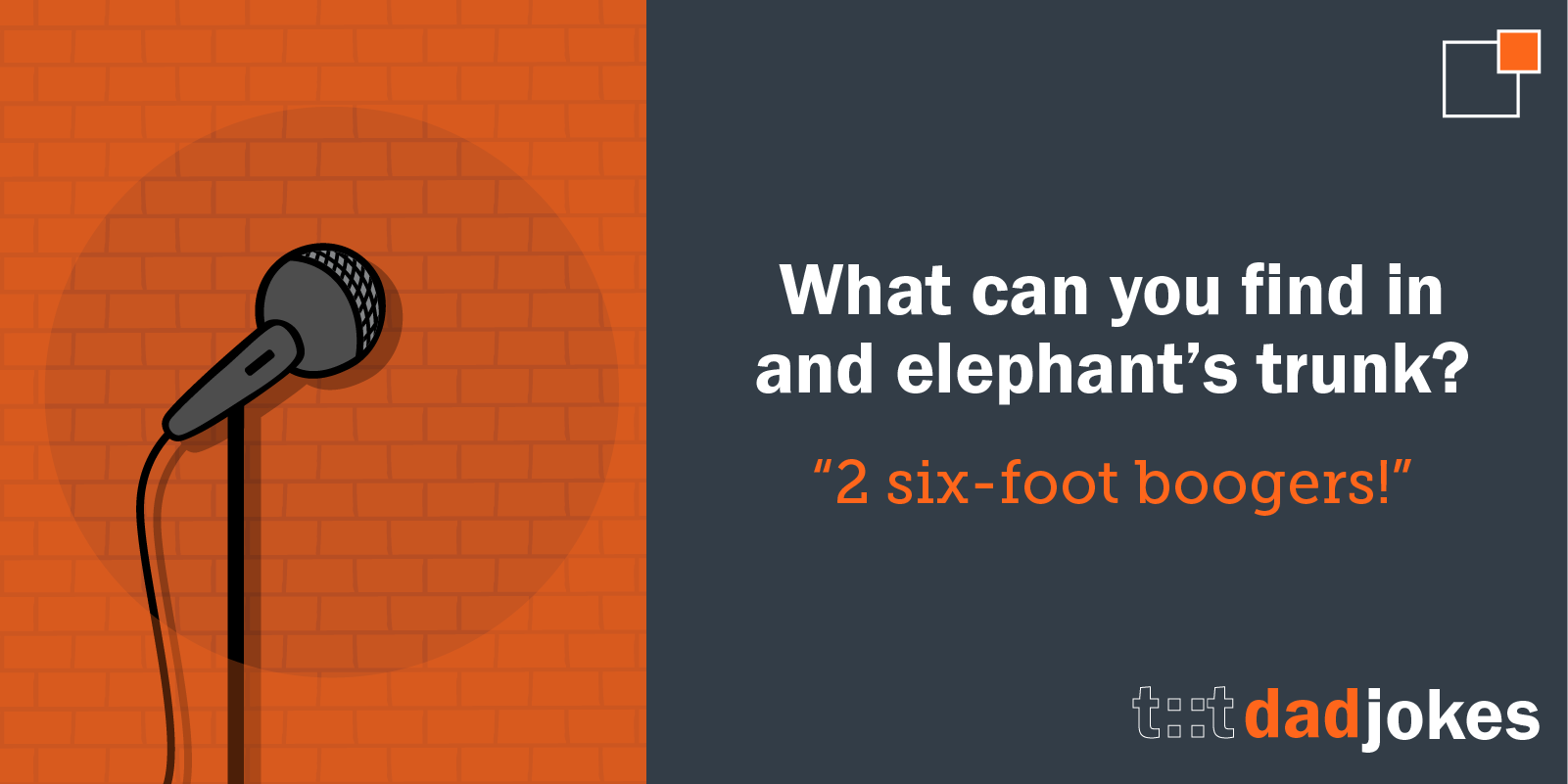 What can you find in an elephant’s trunk?   Two six-foot boogers