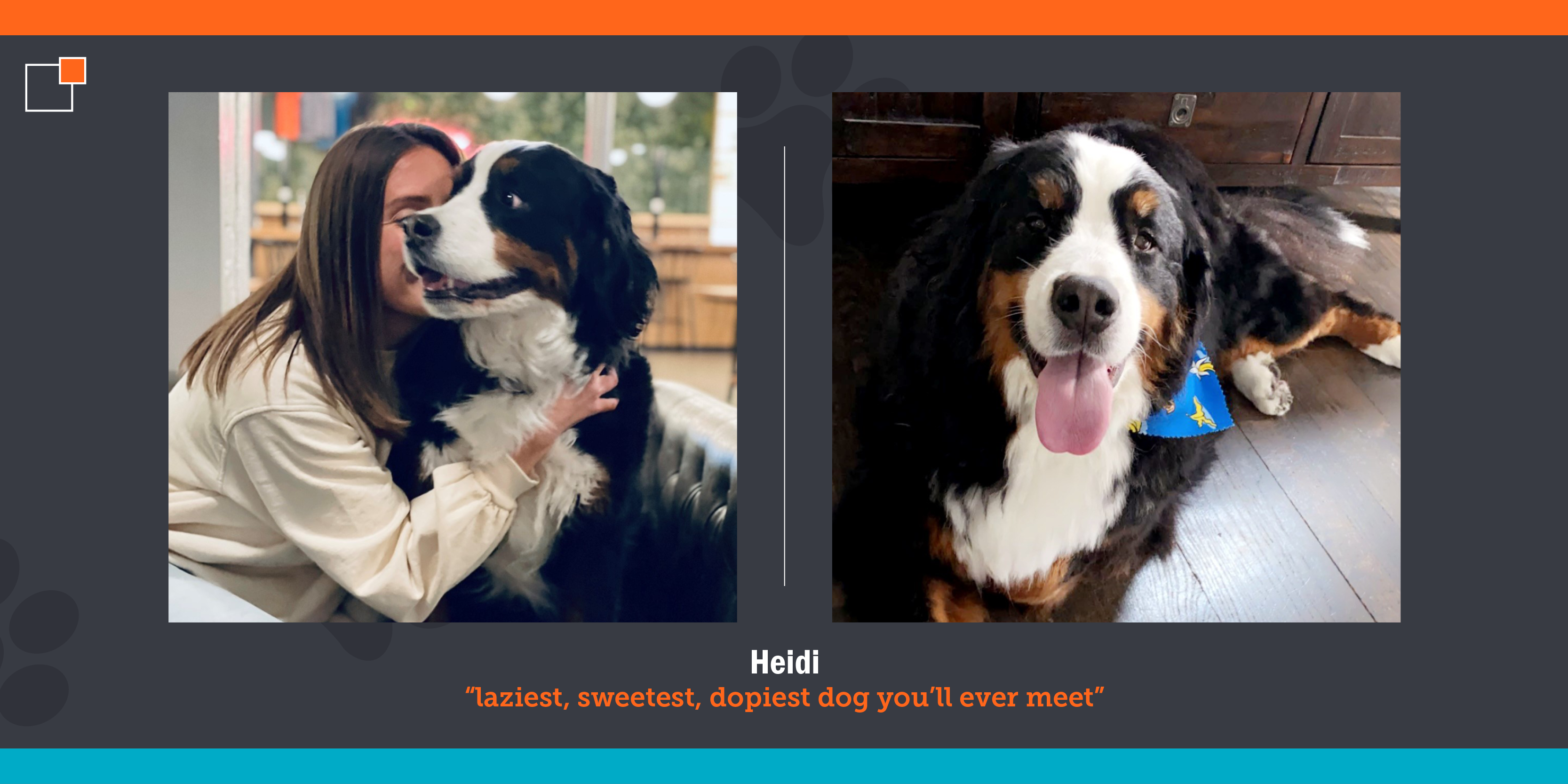 picture of Dana and Heidi the Bernese Mountain Dog