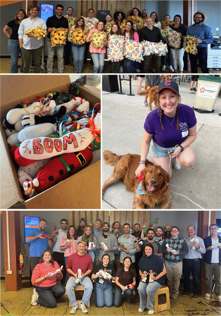 Animal Shelter Donation