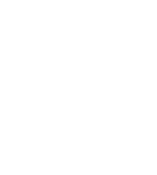 Big Fig