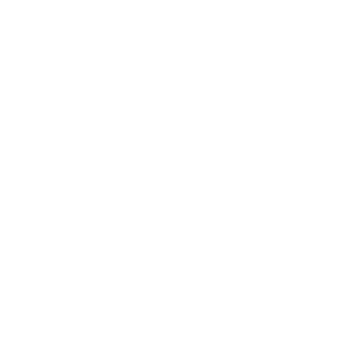 Palmer Holland